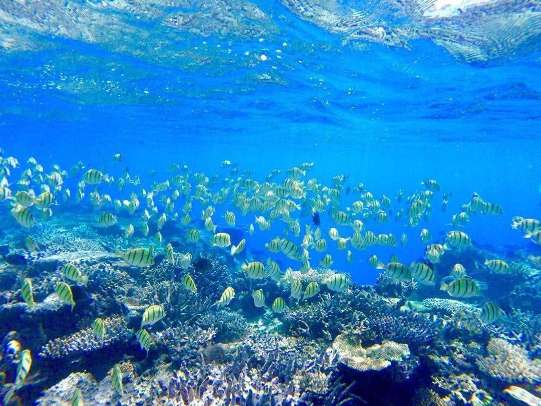 Korovou Eco Lodge Naviti Island Bagian luar foto